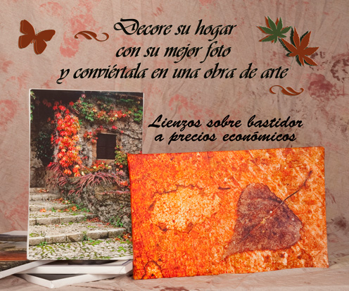 Decore su hogar